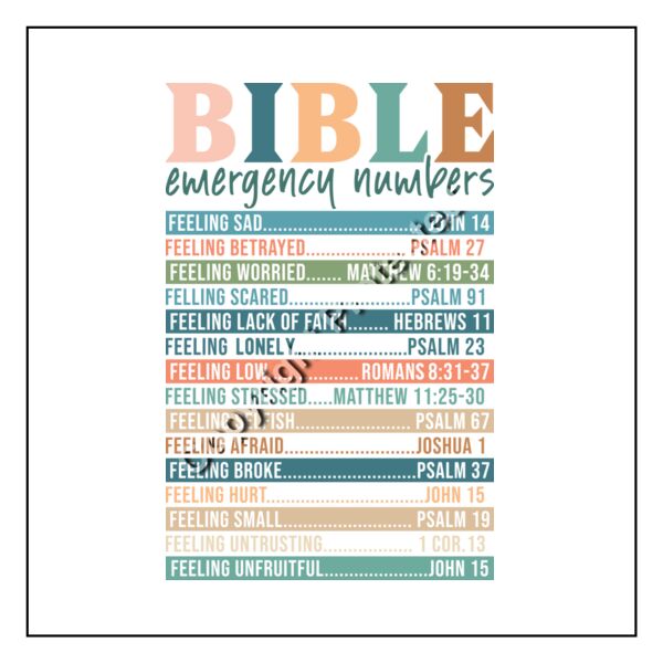 Full Color Transfer 12.5x15 Thumbnail