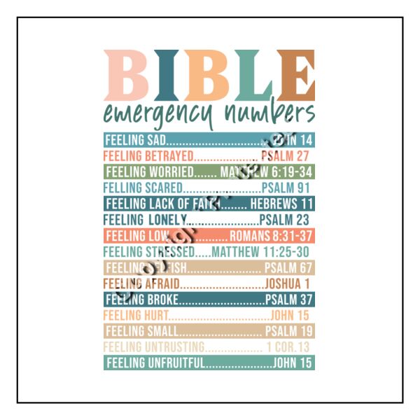 Full Color Transfer 12.5x12.5" Thumbnail